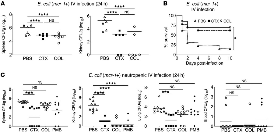 Impacts of polymyxin monotherapy on mcr-1+ E. coli bacteremia outcomes i...