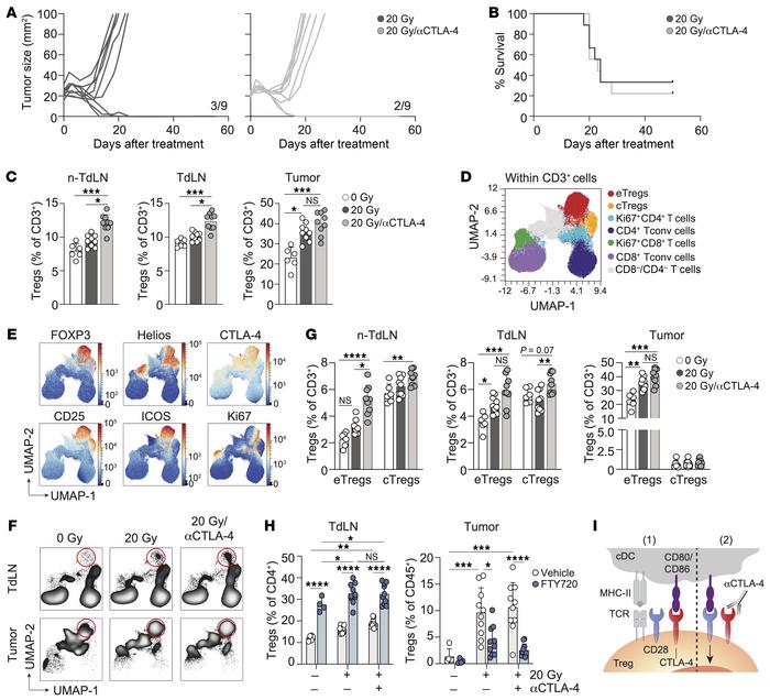 CTLA-4 blockade exacerbates RT-induced eTreg expansion.
Mice bearing 20 ...