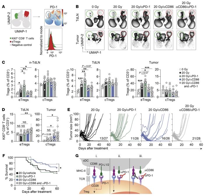 CD86-mediated CD28 costimulation is required for PD-1–dependent eTreg ex...