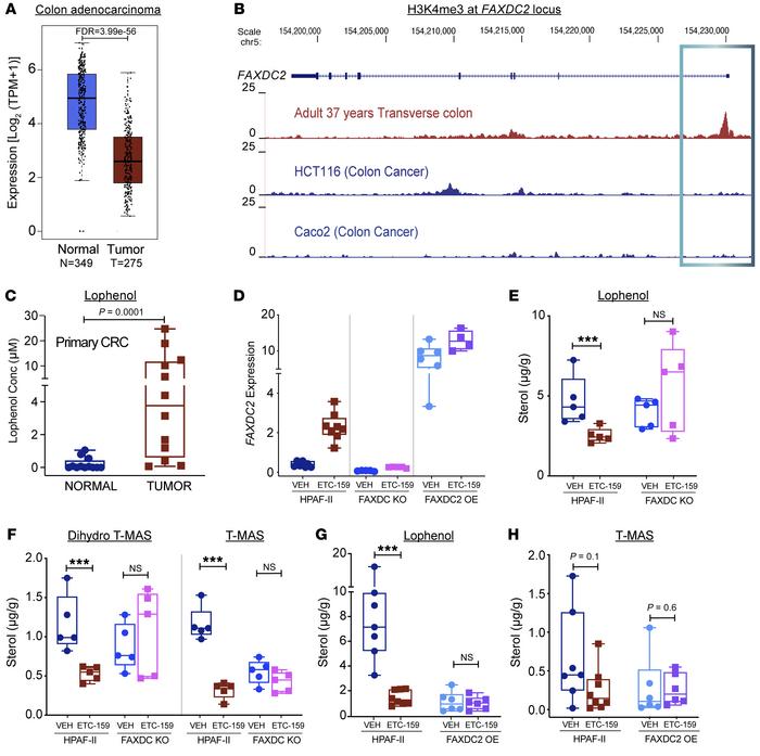 
FAXDC2 expression correlates with and drives changes in C4-methyl stero...