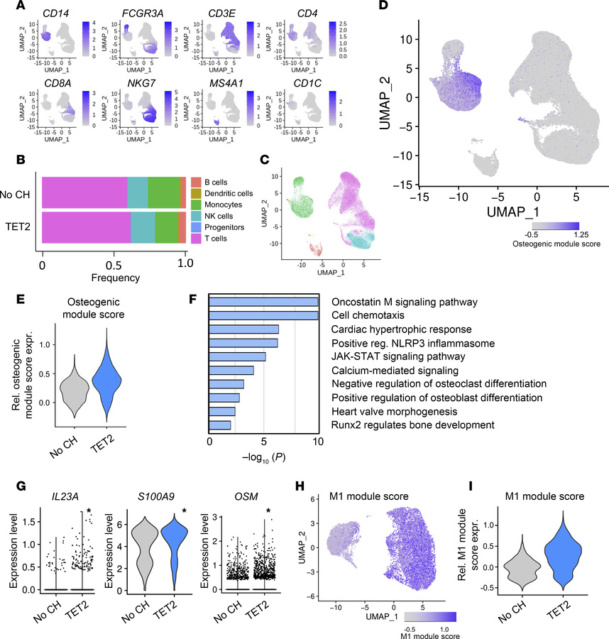 TET2-mutant carriers show increased expression of proinflammatory and pr...