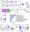 TET2-mutant carriers show increased expression of proinflammatory and proca