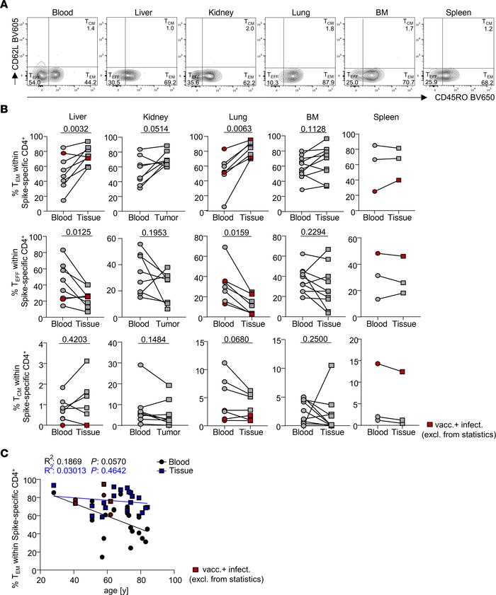 Enrichment of specific memory-type CD4+ T cells in nonlymphoid tissues.
...