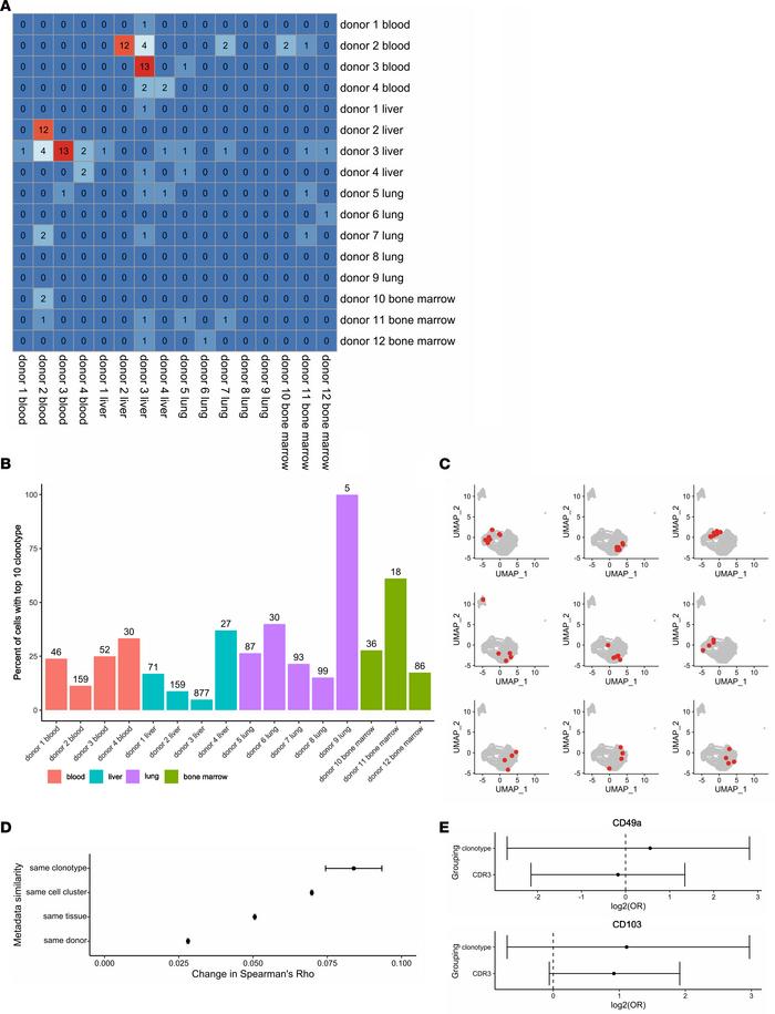 Shared TCR clonotypes between tissues.
(A) Heatmap depicting the overlap...