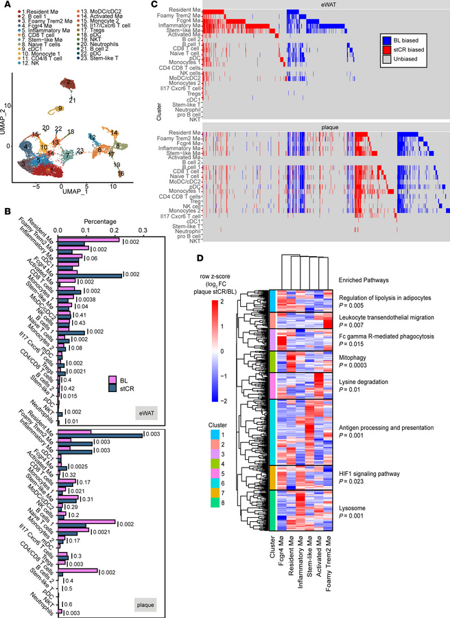 The immune landscape in plaque and eWAT changes with stCR.
(A) Unbiased ...