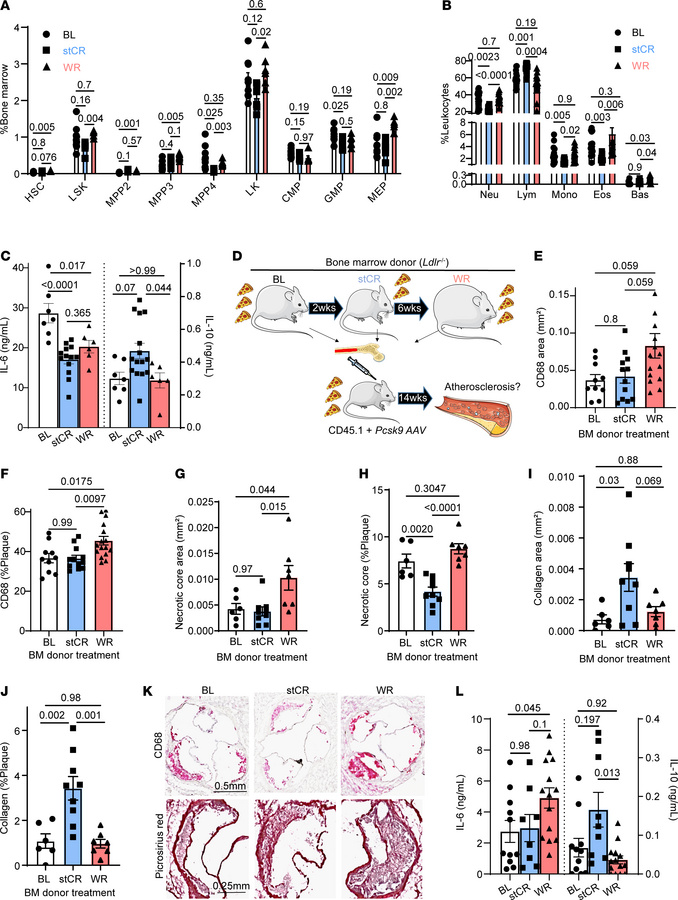 WR induces long-term pro-atherogenic reprogramming of hematopoietic prog...