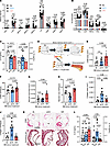 WR induces long-term pro-atherogenic reprogramming of hematopoietic progeni