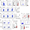 Patterns of NRP2 expression on murine CD4+ T cells after activation.