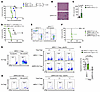 NRP2 expression on CD4+ T effector cells is required for long-term allograf