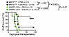 The regulation of allograft rejection by CD4+ T cell NRP2 is independent of
