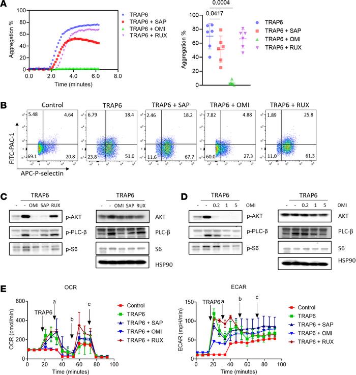 Effects of mTOR inhibitors and ruxolitinib on platelet activities.
(A) R...