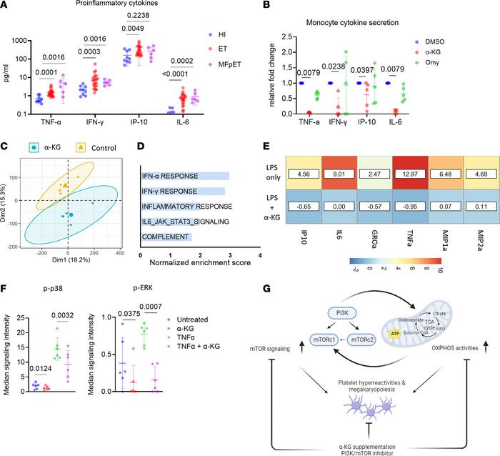 α-KG inhibited monocyte activation and hyperinflammation.
(A) Plasma cyt...