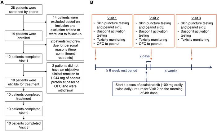Schematic representing study design and patient disposition.
Flow diagra...