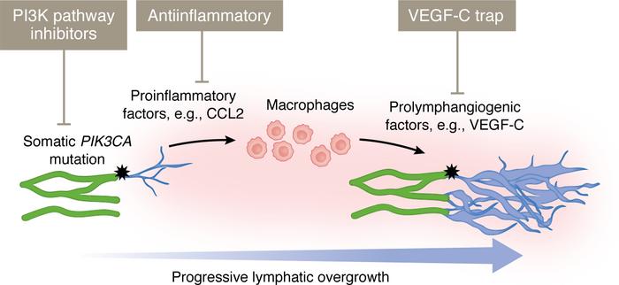 Proinflammatory paracrine signaling as a potential target for the treatm...