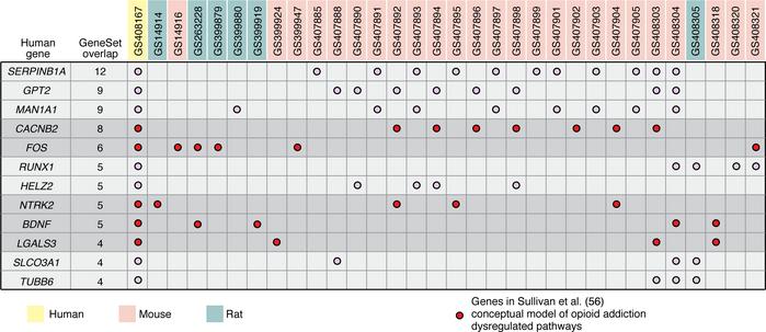 Cross-species analysis of independent datasets has the potential to nomi...