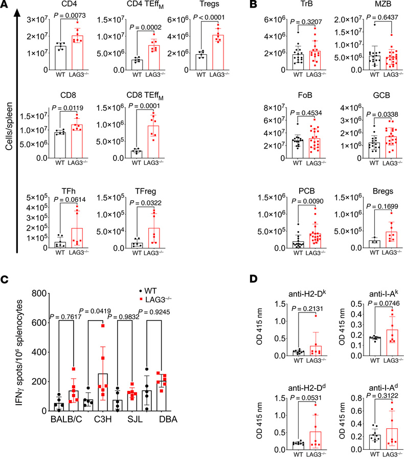 LAG3-deficient mice had expanded lymphocyte subsets and a modest increas...