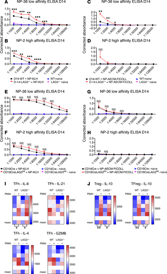 LAG3 regulates antibody responses to both T cell–dependent and T cell–in...