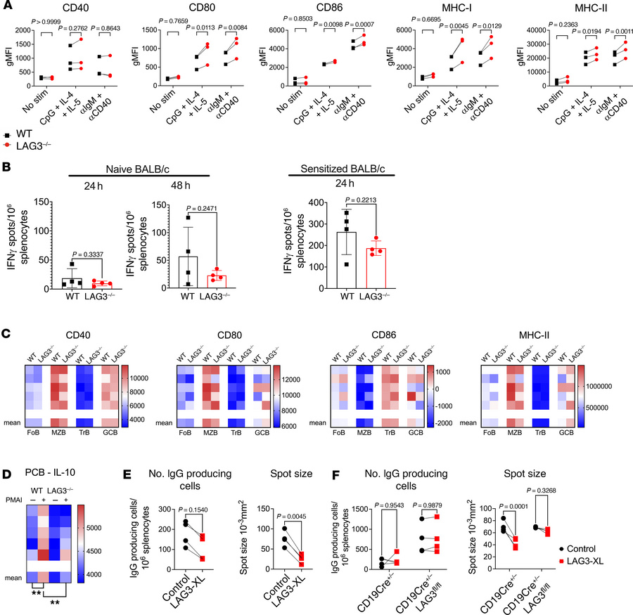 LAG3 is required for IL-10 production by plasma cells and regulates plas...