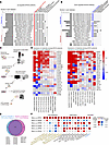 GPR31 was identified as a metabolite-sensing GPCR facilitating MASH develop