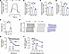 Changes to in situ muscle strength and reduced CMAP amplitude in mice injec