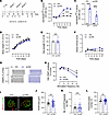 Animals immunized with MuSKCRD peptide do not display myasthenia-like chara