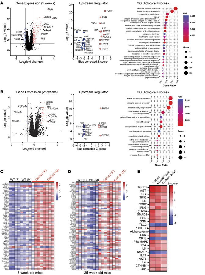 RNA-Seq identifies a robust upregulation of TGF-β pathway–related genes ...