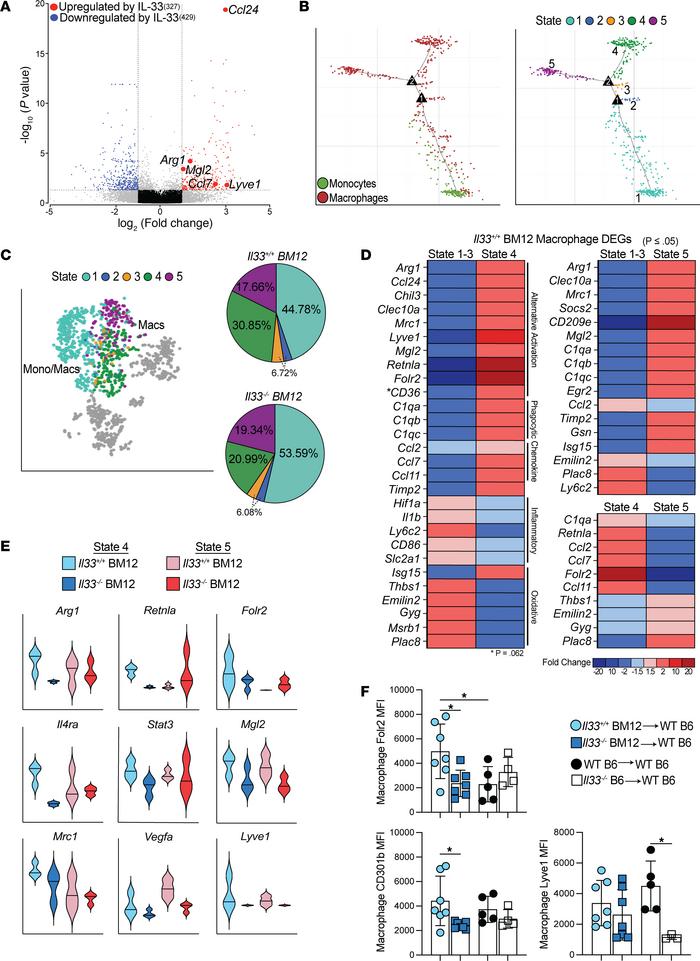 Local cardiac IL-33 orchestrates reparative macrophage differentiation.
...