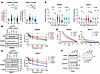 FGFR3 phosphorylates PARP1 at Y158, promoting PARPi resistance.