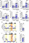 Slc7a2–/– mice have decreased glucagon and insulin secretion under highly s