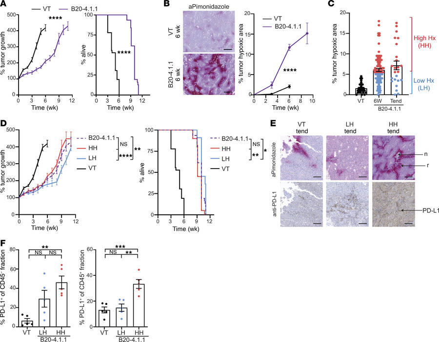 Anti-VEGF treatment generates hypoxic and nonhypoxic response patterns a...