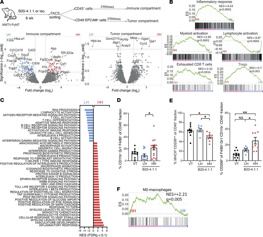 HH Tumors display a macrophage-rich, tumor-tolerant immune compartment.
...
