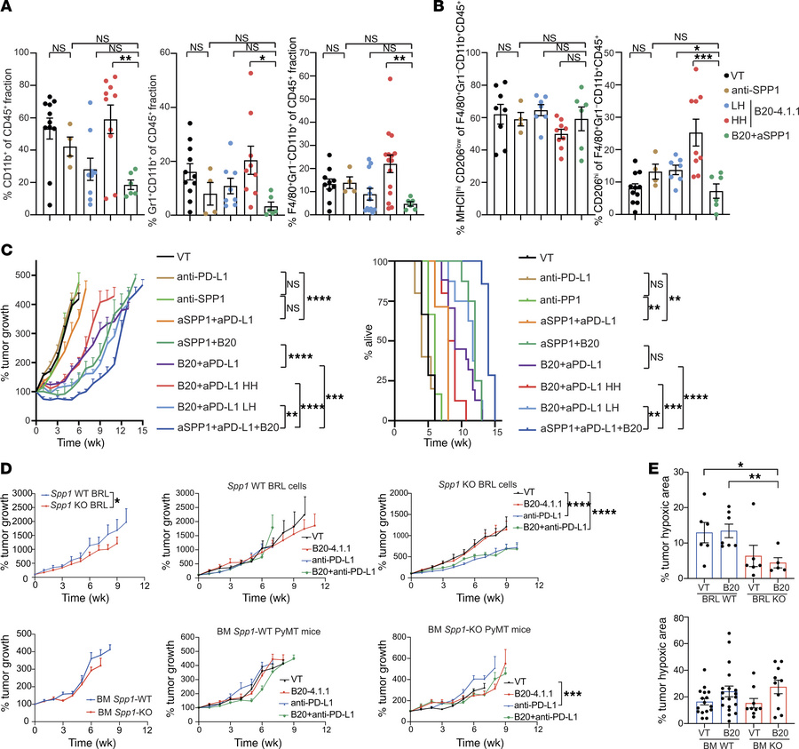 Systemic osteopontin blockade restores immune control, and tumor cells a...