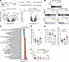 HH Tumors display a macrophage-rich, tumor-tolerant immune compartment.