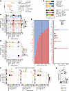 Single-cell analysis identifies SPP1-centered epithelial-to-myeloid communi