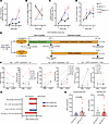Time-course and clinical run-in analyses to support an osteopontin-centered