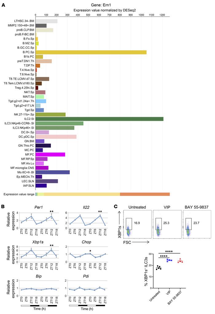 Intestinal ILC3s exhibit high Ire1α (Ern1) expression and circadian osci...