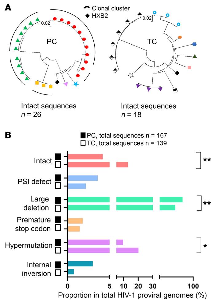 Genome-proviral sequences in PCs and TCs.
(A) Circular maximum-likelihoo...
