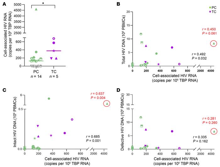 Cell-associated HIV-1-RNA in PCs and TCs.
(A) Cell-associated HIV-1-RNA,...