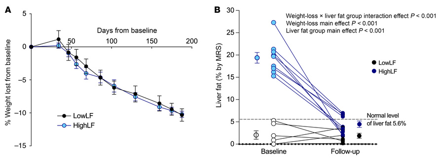 Weight loss and its impact on liver fat.
(A) Weight loss trajectories of...