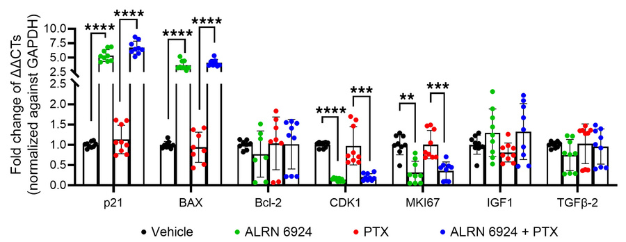 qPCR of HFs treated with ALRN-6924 and/or PTX.
qPCR shows that ALRN-6924...