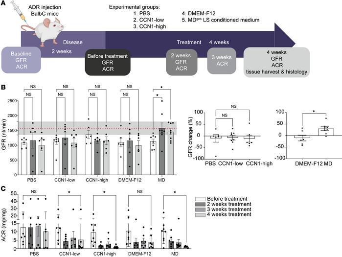 Treatment with MD biologicals improves kidney function in CKD.
(A) Illus...