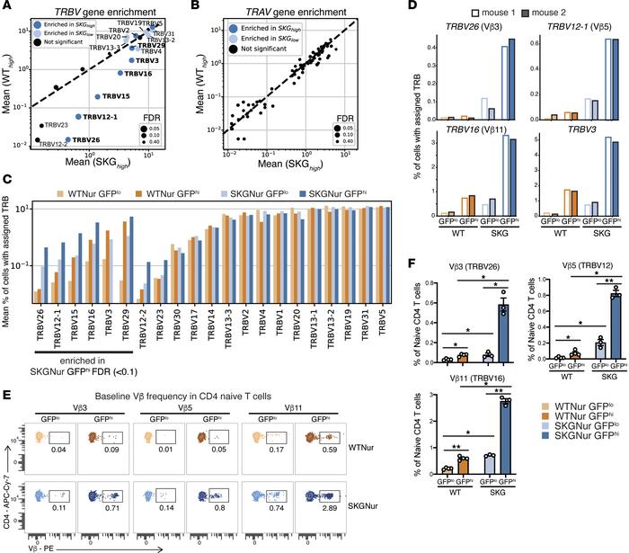 SKG CD4+ T cells harbor a biased TCR Vβ gene repertoire.
(A and B) Scatt...