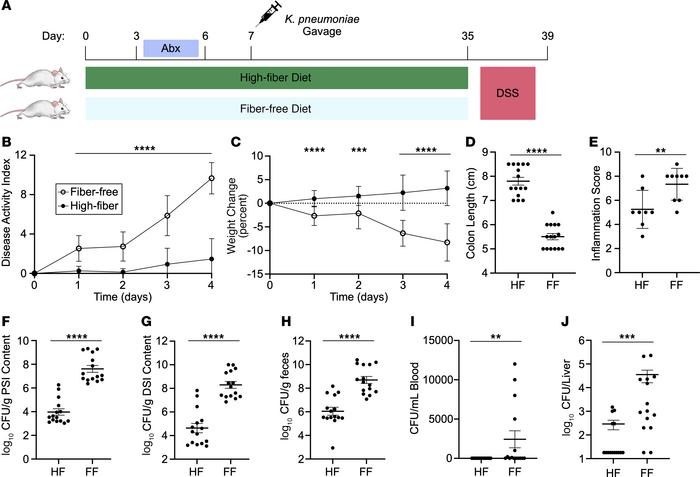 A HF diet protects against DSS colitis and K. pneumoniae dissemination f...