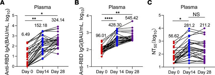 IN sequential immunization significantly enhances mucosal immunity in hu...