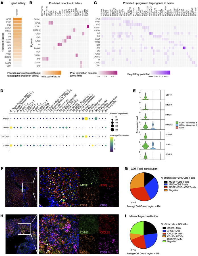 Predicted ligand-receptor interactions during liver inflammation suggest...