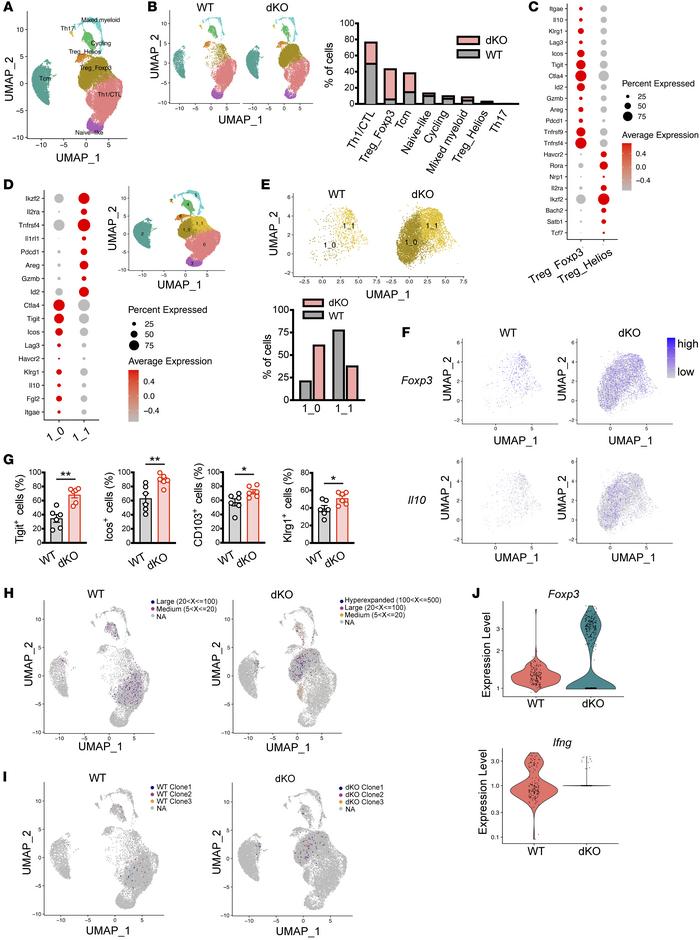 scRNA-Seq coupled with scTCR-Seq analysis identifies clonally expanded h...