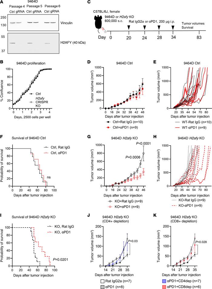 Genetic deletion of H2afy in NB cancer cells reverted resistance to PD-1...