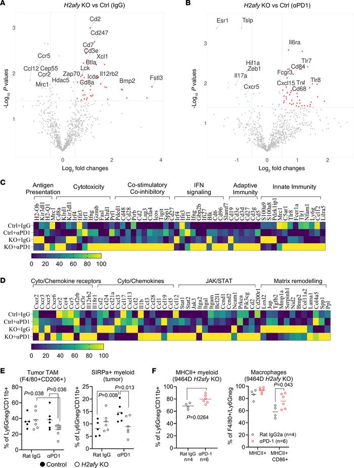 Concurrent activation of adaptive and innate immunity enabled antitumor ...