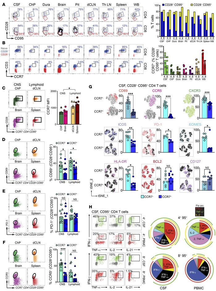 CCR7+ CD4+ T cells in CNS share phenotypic features with TCM in blood an...