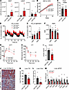 Conditional miR-30a transgenesis in WAT maintains insulin sensitivity in ob